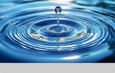 私たちについて