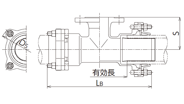 PメカチーズF型